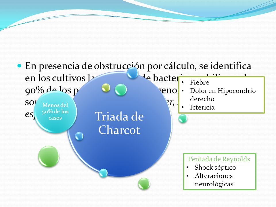 En presencia de obstrucción por cálculo, se identifica en los cultivos la presencia de bacterias en bilis en el 90% de los pacientes y los patógenos más frecuentes son Klebsiella, E. coli, Emerobacter, Pseitdomonas y especies de Citrobacter.