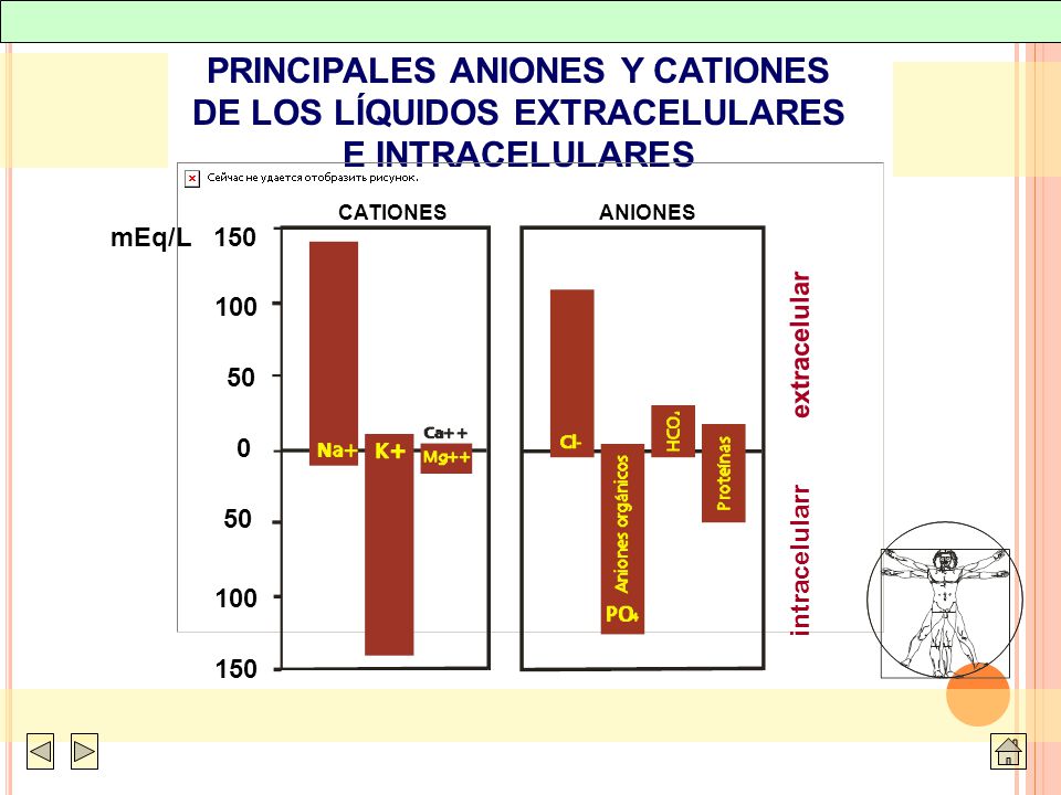 PRINCIPALES ANIONES Y CATIONES DE LOS LÍQUIDOS EXTRACELULARES