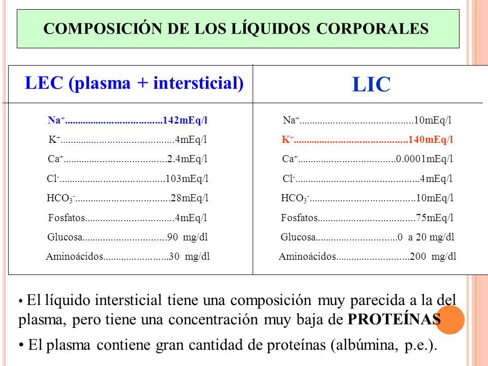 COMPOSICIÓN DE LOS LÍQUIDOS CORPORALES LEC (plasma + intersticial)