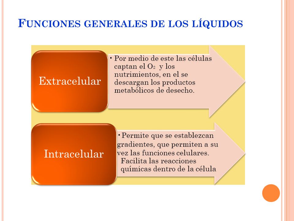 Funciones generales de los líquidos