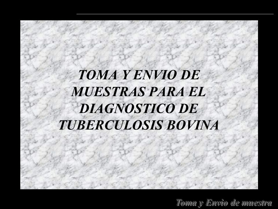 TOMA Y ENVIO DE MUESTRAS PARA EL DIAGNOSTICO DE TUBERCULOSIS BOVINA