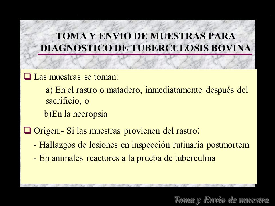 TOMA Y ENVIO DE MUESTRAS PARA DIAGNOSTICO DE TUBERCULOSIS BOVINA
