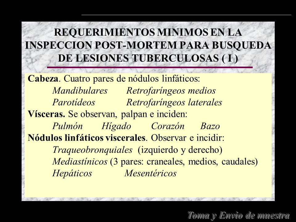 REQUERIMIENTOS MINIMOS EN LA INSPECCION POST-MORTEM PARA BUSQUEDA DE LESIONES TUBERCULOSAS ( I )