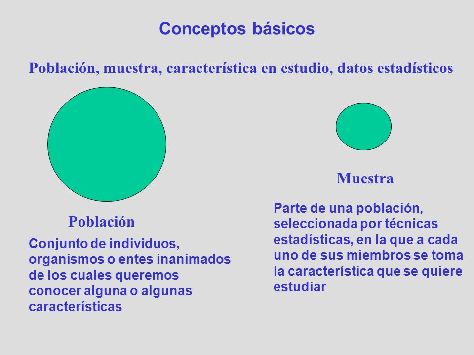 Conceptos básicos Población, muestra, característica en estudio, datos estadísticos. Población. Muestra.