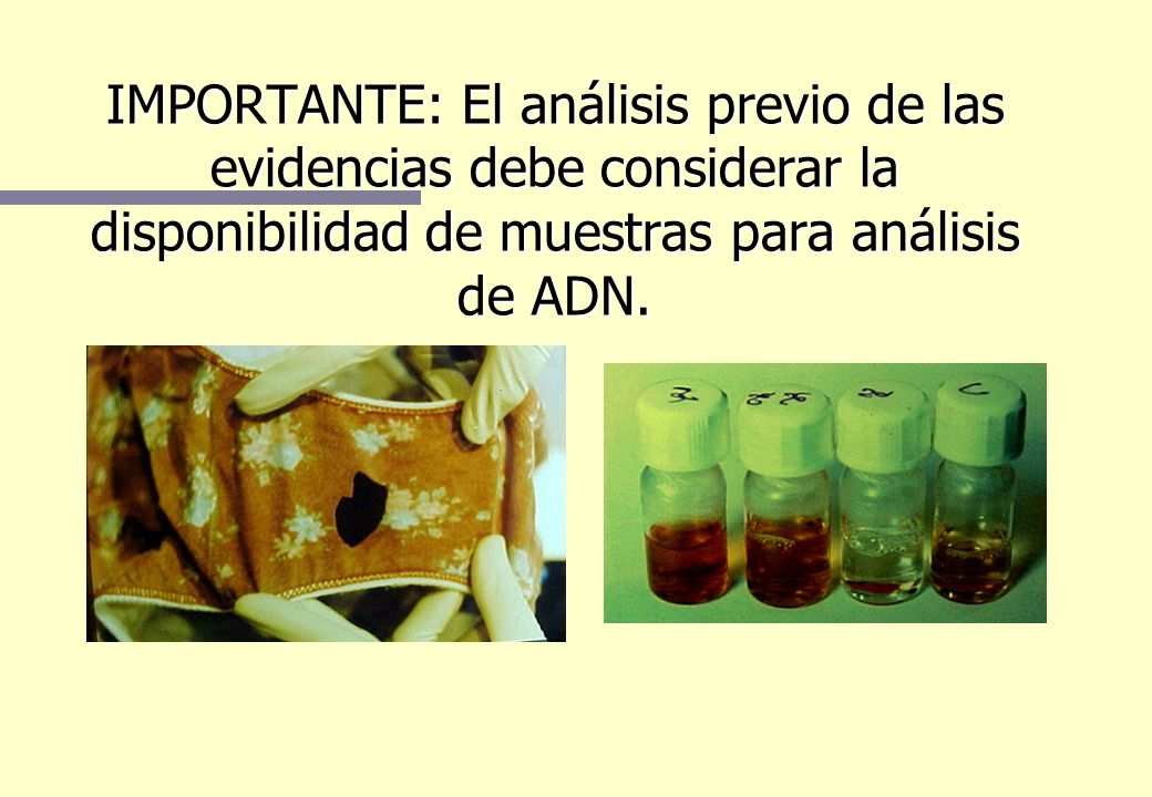 IMPORTANTE: El análisis previo de las evidencias debe considerar la disponibilidad de muestras para análisis de ADN.