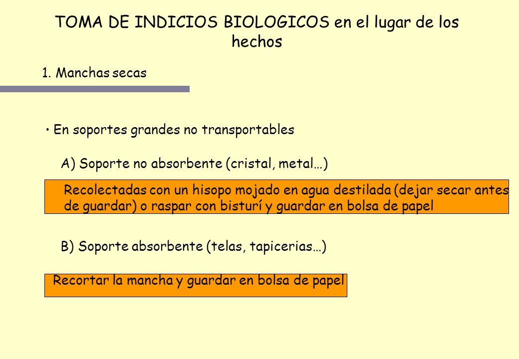 TOMA DE INDICIOS BIOLOGICOS en el lugar de los hechos