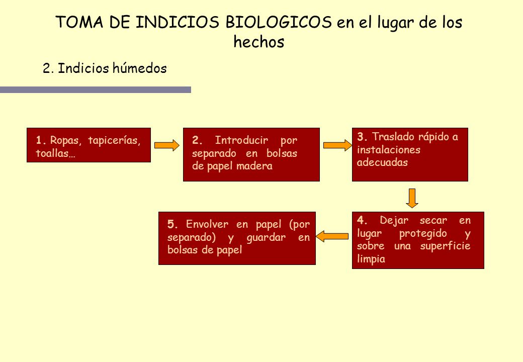 TOMA DE INDICIOS BIOLOGICOS en el lugar de los hechos