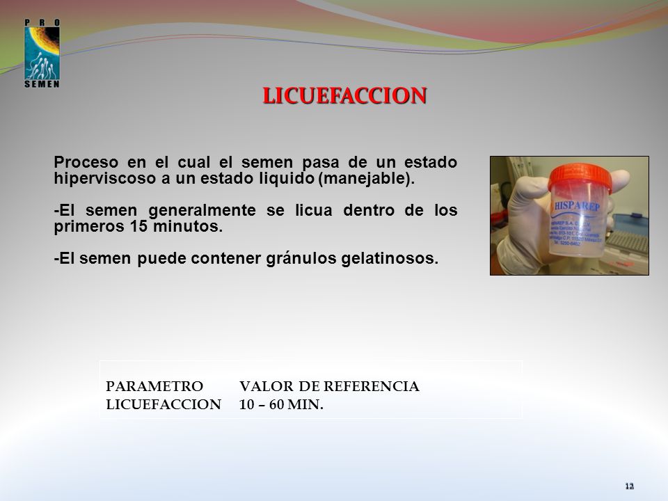 LICUEFACCION Proceso en el cual el semen pasa de un estado hiperviscoso a un estado liquido (manejable).