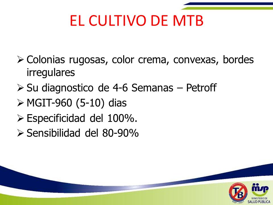 EL CULTIVO DE MTB Colonias rugosas, color crema, convexas, bordes irregulares. Su diagnostico de 4-6 Semanas – Petroff.