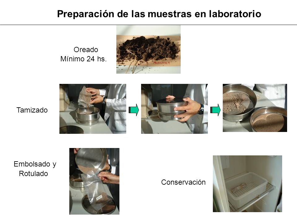 Preparación de las muestras en laboratorio
