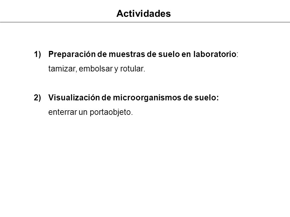 Actividades Preparación de muestras de suelo en laboratorio: tamizar, embolsar y rotular.