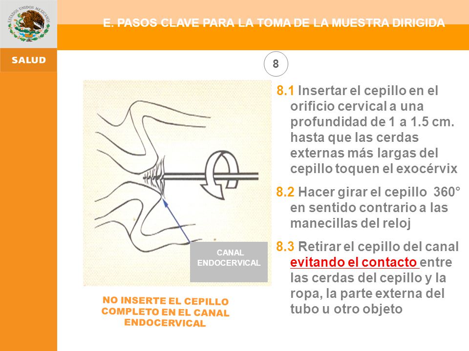 E. PASOS CLAVE PARA LA TOMA DE LA MUESTRA DIRIGIDA