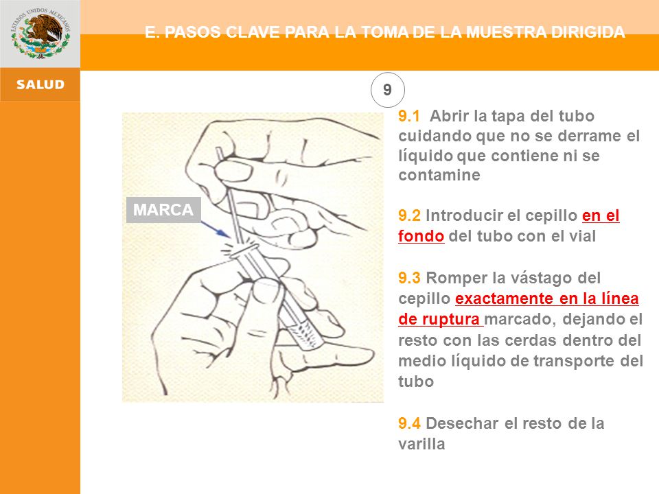 E. PASOS CLAVE PARA LA TOMA DE LA MUESTRA DIRIGIDA