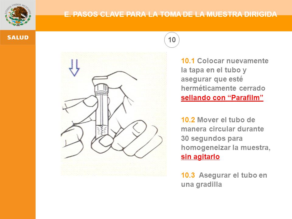 E. PASOS CLAVE PARA LA TOMA DE LA MUESTRA DIRIGIDA