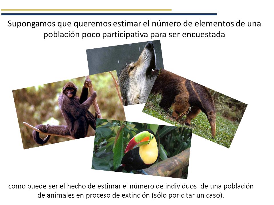 Supongamos que queremos estimar el número de elementos de una población poco participativa para ser encuestada