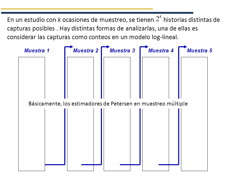 En un estudio con k ocasiones de muestreo, se tienen historias distintas de capturas posibles . Hay distintas formas de analizarlas, una de ellas es considerar las capturas como conteos en un modelo log-lineal.