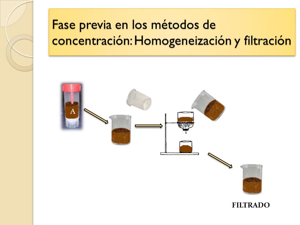 Fase previa en los métodos de concentración: Homogeneización y filtración
