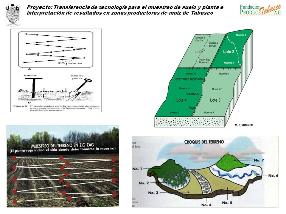 Proyecto: Transferencia de tecnología para el muestreo de suelo y planta e interpretación de resultados en zonas productoras de maíz de Tabasco