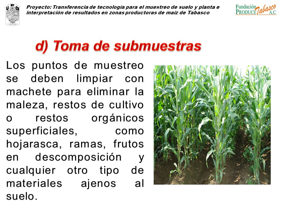 Proyecto: Transferencia de tecnología para el muestreo de suelo y planta e interpretación de resultados en zonas productoras de maíz de Tabasco
