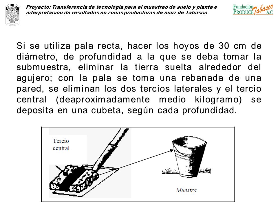 Proyecto: Transferencia de tecnología para el muestreo de suelo y planta e interpretación de resultados en zonas productoras de maíz de Tabasco