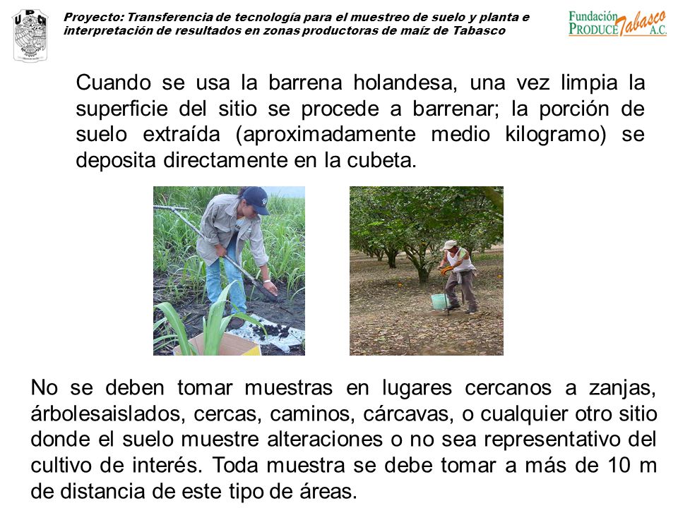 Proyecto: Transferencia de tecnología para el muestreo de suelo y planta e interpretación de resultados en zonas productoras de maíz de Tabasco