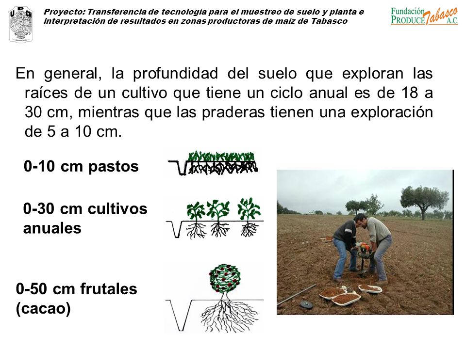 Proyecto: Transferencia de tecnología para el muestreo de suelo y planta e interpretación de resultados en zonas productoras de maíz de Tabasco