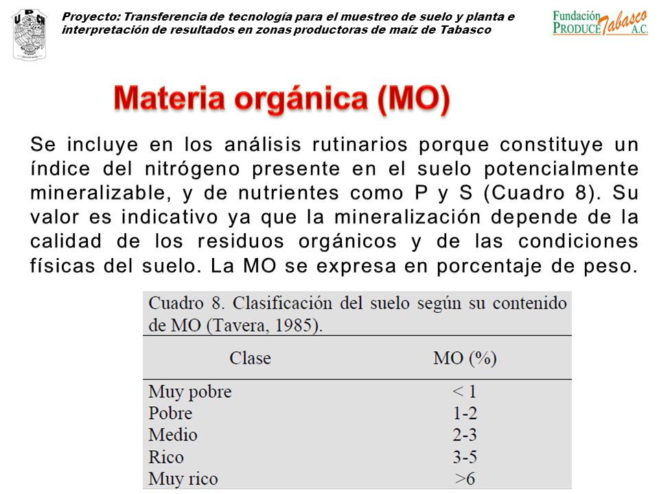 Proyecto: Transferencia de tecnología para el muestreo de suelo y planta e interpretación de resultados en zonas productoras de maíz de Tabasco
