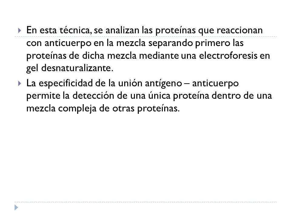 En esta técnica, se analizan las proteínas que reaccionan con anticuerpo en la mezcla separando primero las proteínas de dicha mezcla mediante una electroforesis en gel desnaturalizante.