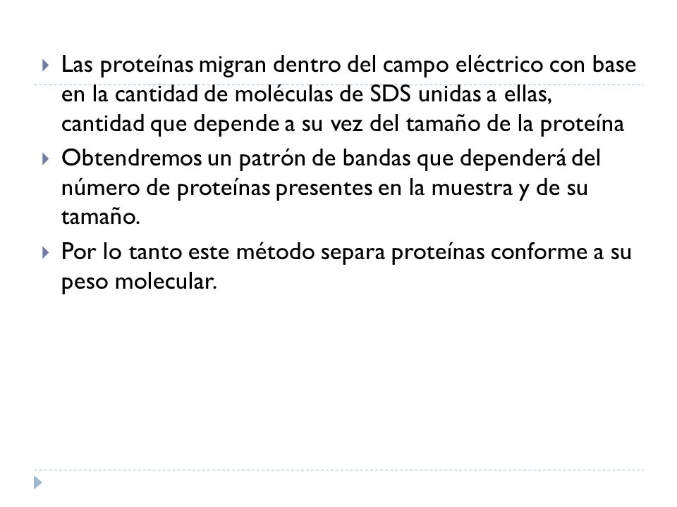 Las proteínas migran dentro del campo eléctrico con base en la cantidad de moléculas de SDS unidas a ellas, cantidad que depende a su vez del tamaño de la proteína