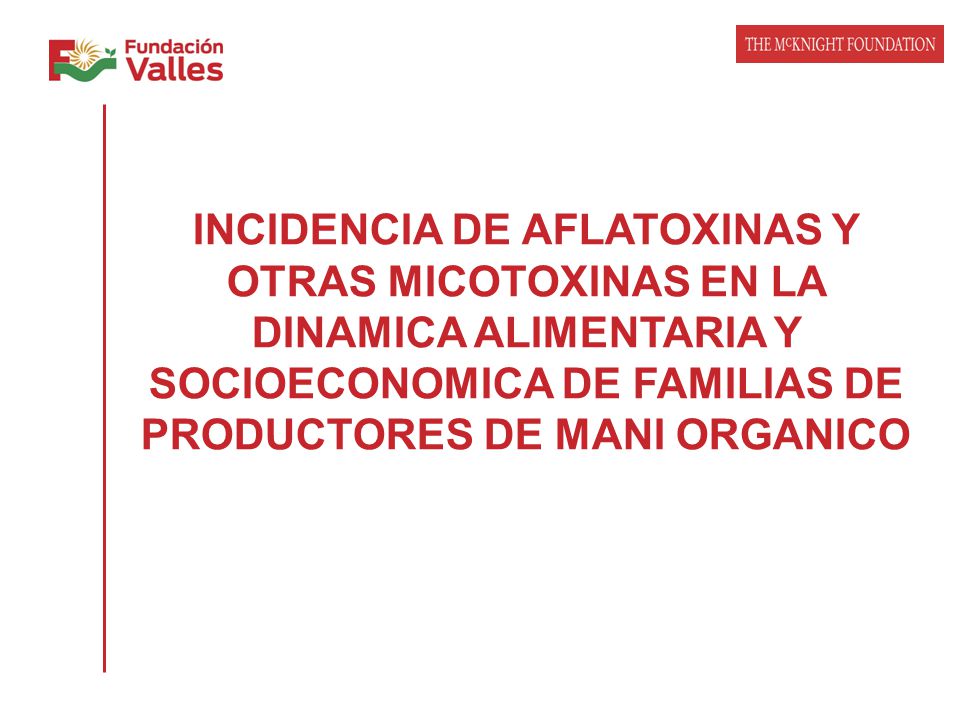 INCIDENCIA DE AFLATOXINAS Y OTRAS MICOTOXINAS EN LA DINAMICA ALIMENTARIA Y SOCIOECONOMICA DE FAMILIAS DE PRODUCTORES DE MANI ORGANICO