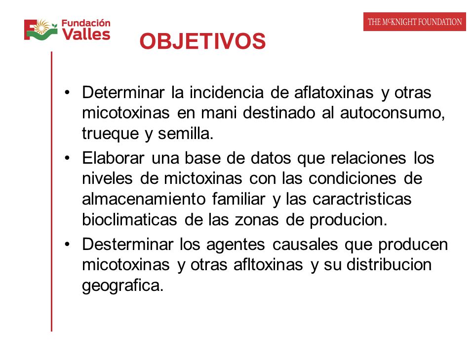 OBJETIVOS Determinar la incidencia de aflatoxinas y otras micotoxinas en mani destinado al autoconsumo, trueque y semilla.