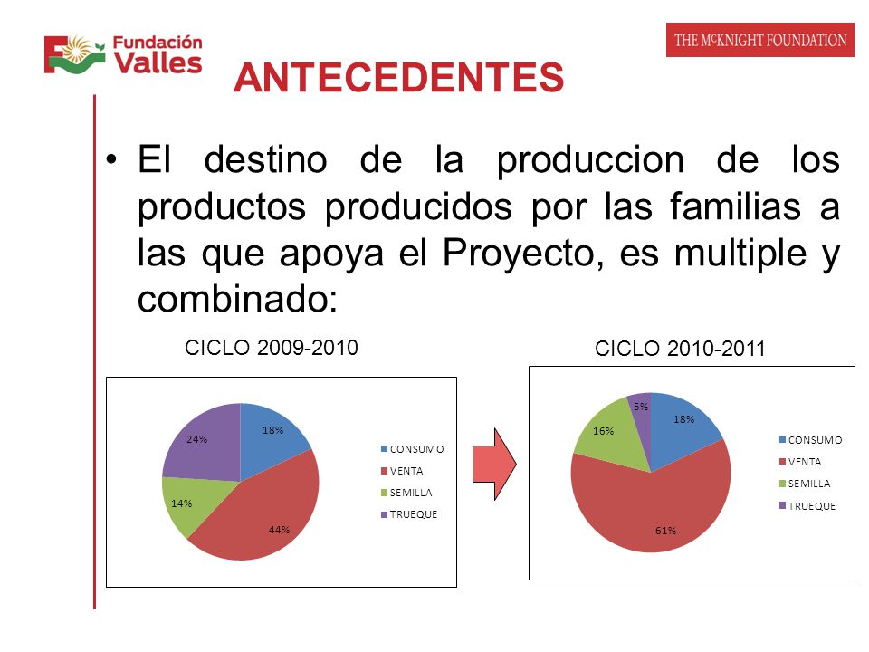 ANTECEDENTES El destino de la produccion de los productos producidos por las familias a las que apoya el Proyecto, es multiple y combinado: