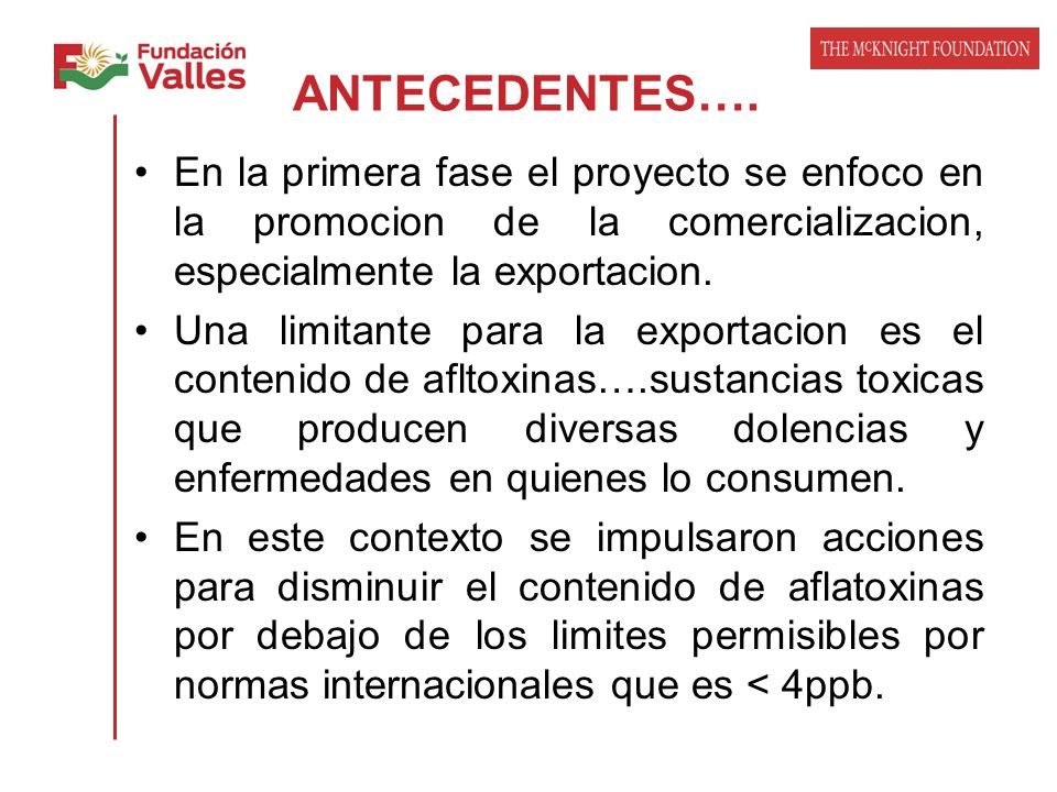 ANTECEDENTES…. En la primera fase el proyecto se enfoco en la promocion de la comercializacion, especialmente la exportacion.