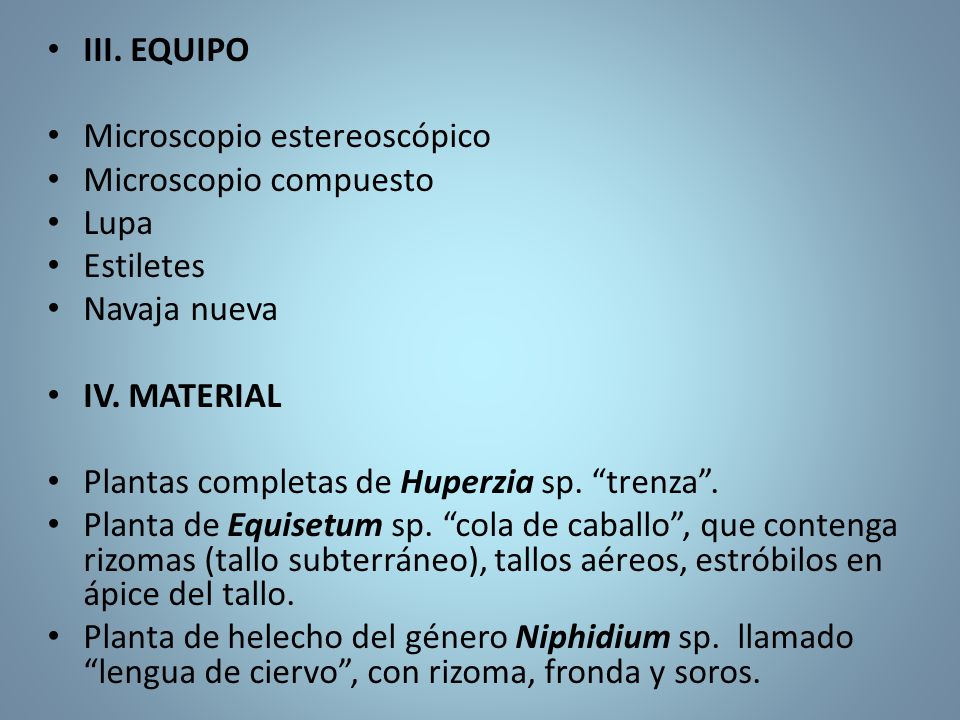 III. EQUIPO Microscopio estereoscópico. Microscopio compuesto. Lupa. Estiletes. Navaja nueva.
