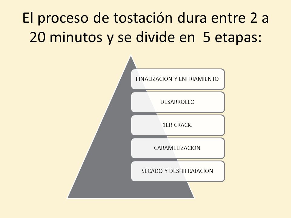 El proceso de tostación dura entre 2 a 20 minutos y se divide en 5 etapas: