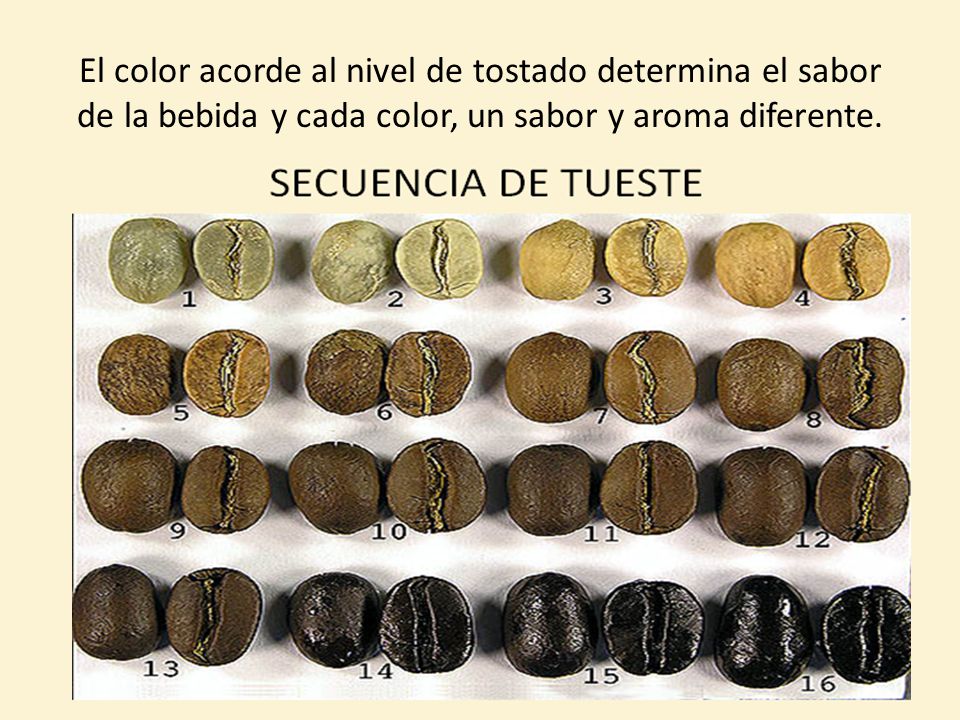 El color acorde al nivel de tostado determina el sabor de la bebida y cada color, un sabor y aroma diferente.