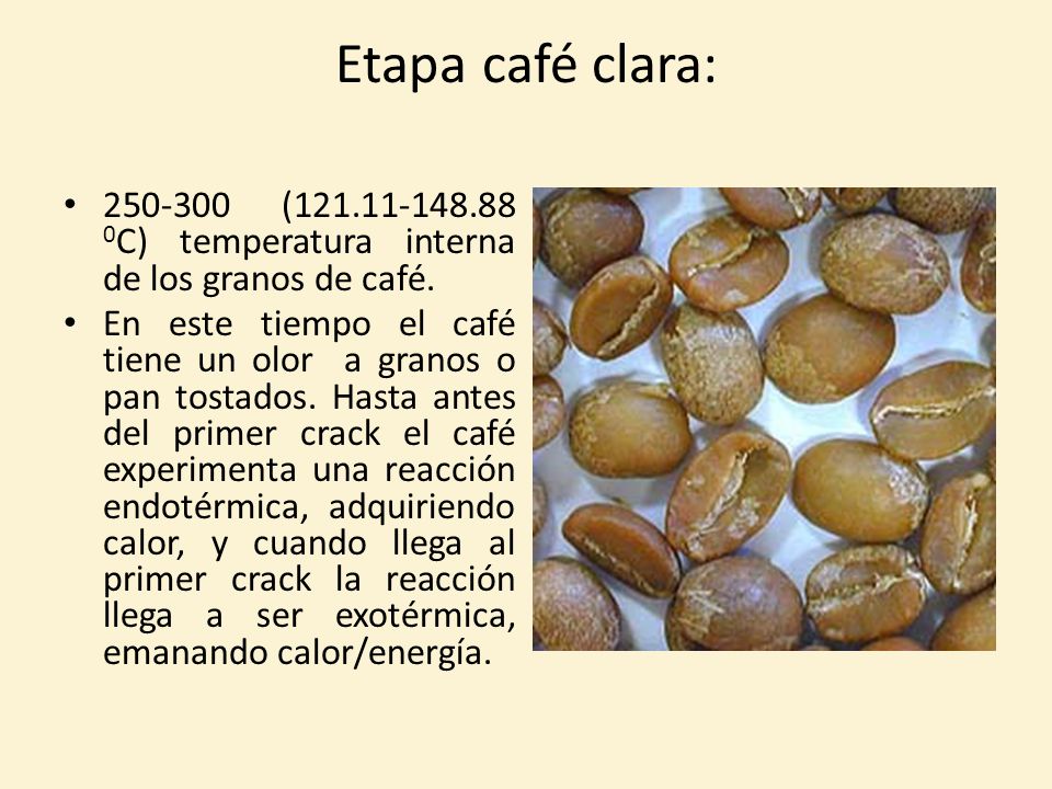 Etapa café clara: ( C) temperatura interna de los granos de café.