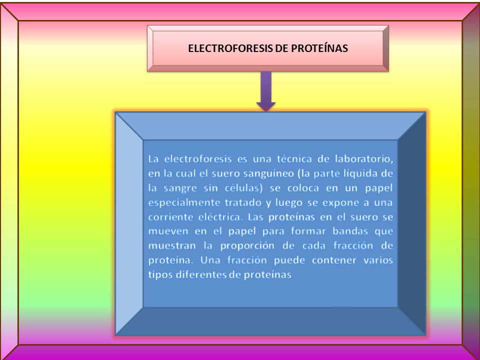 ELECTROFORESIS DE PROTEÍNAS