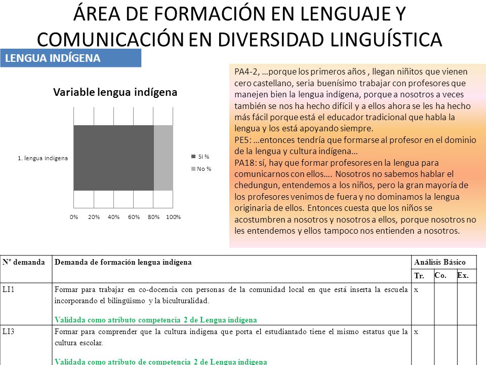 ÁREA DE FORMACIÓN EN LENGUAJE Y COMUNICACIÓN EN DIVERSIDAD LINGUÍSTICA