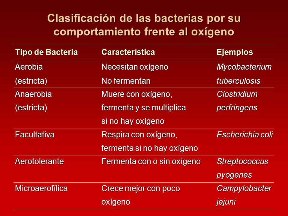 Clasificación de las bacterias por su comportamiento frente al oxígeno