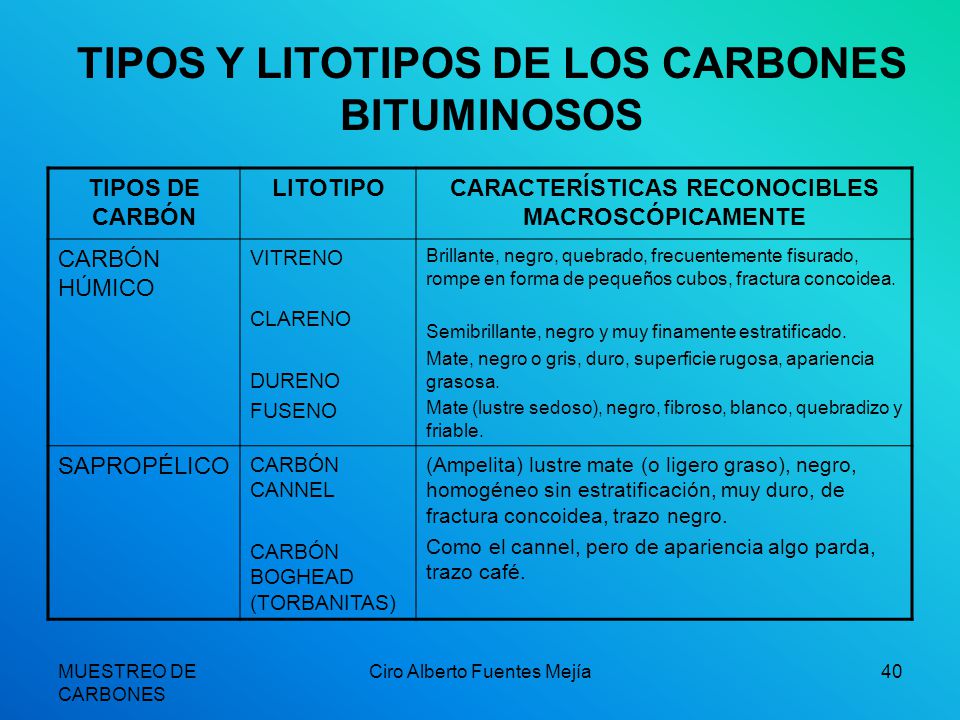 TIPOS Y LITOTIPOS DE LOS CARBONES BITUMINOSOS