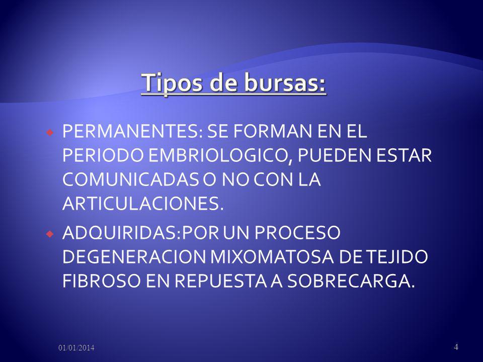 Tipos de bursas: PERMANENTES: SE FORMAN EN EL PERIODO EMBRIOLOGICO, PUEDEN ESTAR COMUNICADAS O NO CON LA ARTICULACIONES.