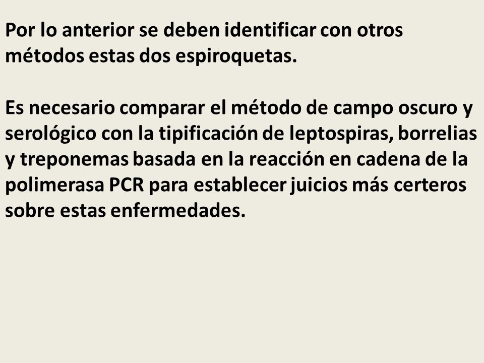 Por lo anterior se deben identificar con otros métodos estas dos espiroquetas.