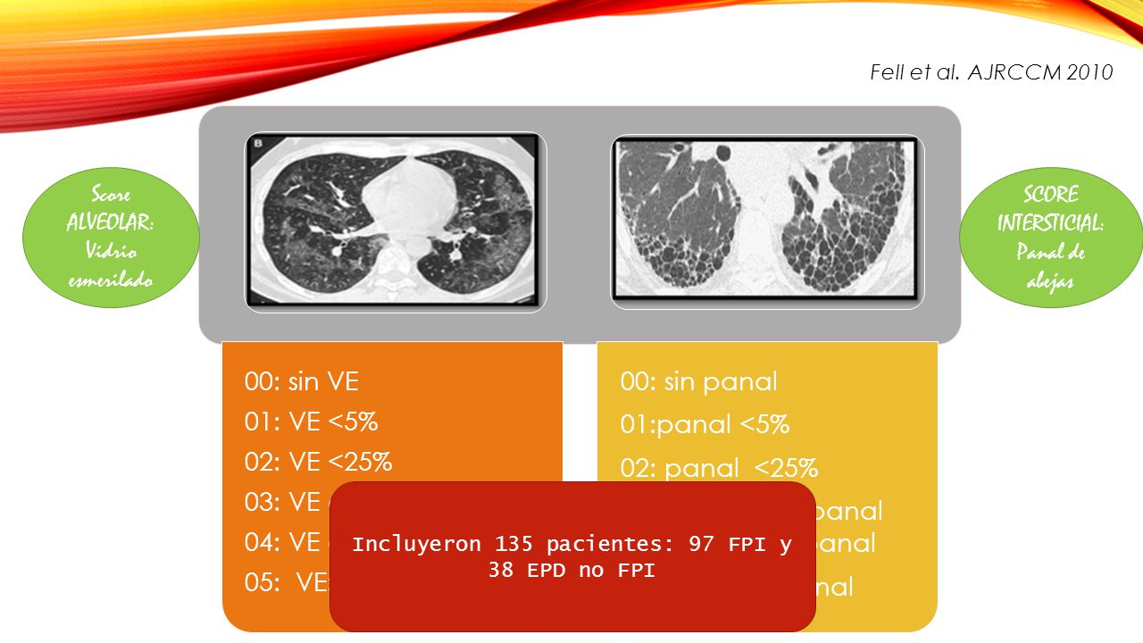 00: sin panal 00: sin VE 01:panal <5% 01: VE <5%