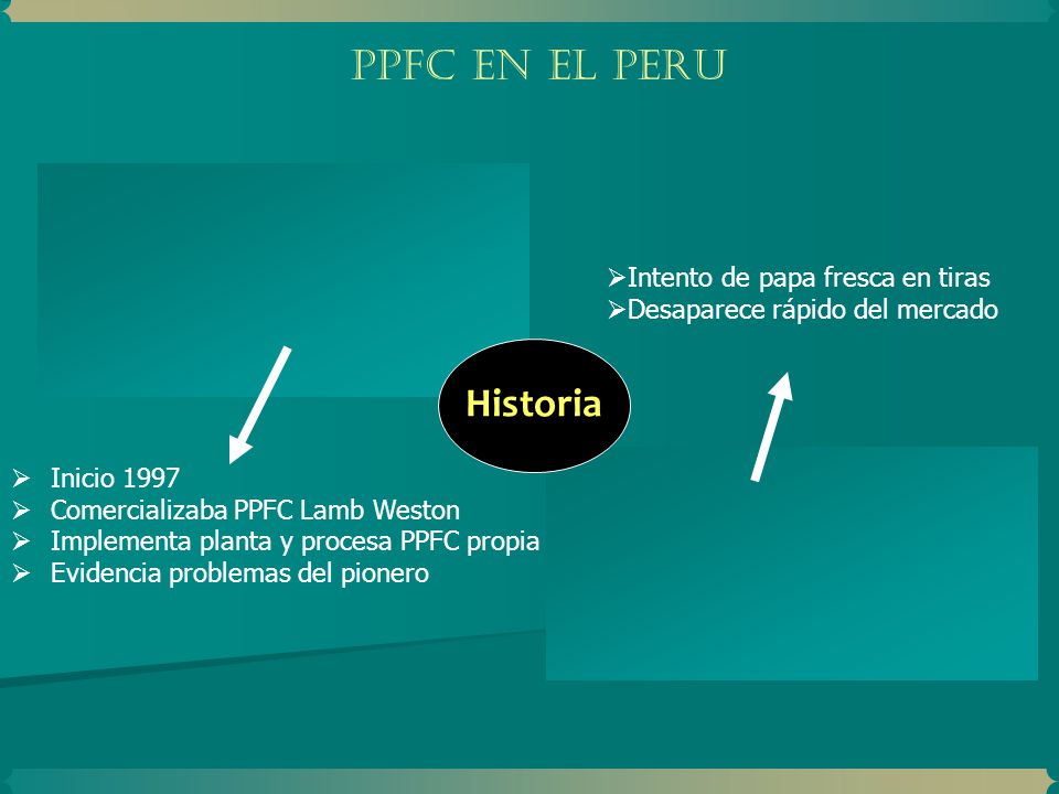FOOD PROCESS SA PAPA ANDINA PPFC EN EL PERU Historia