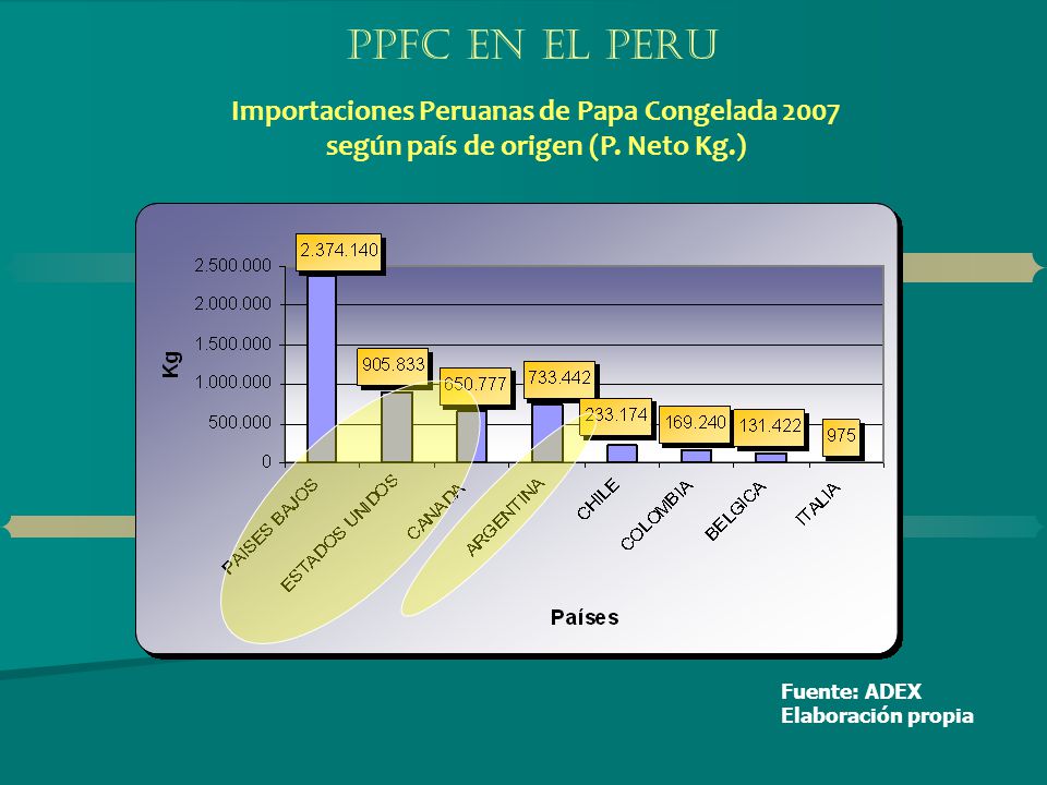 PPFC EN EL PERU Importaciones Peruanas de Papa Congelada 2007