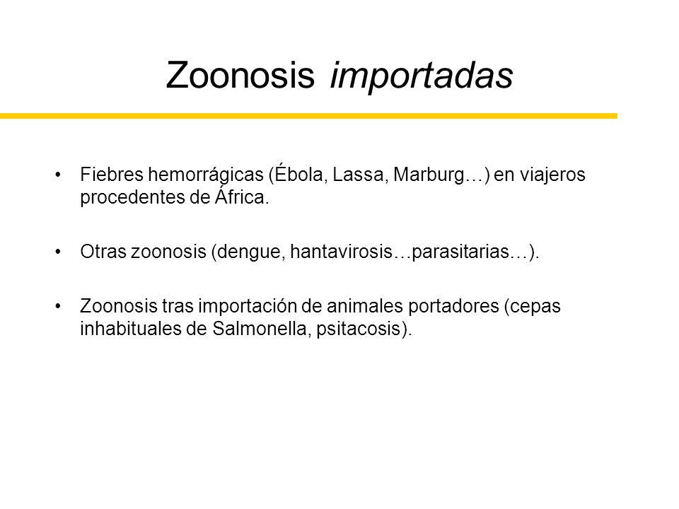 Zoonosis importadas Fiebres hemorrágicas (Ébola, Lassa, Marburg…) en viajeros procedentes de África.