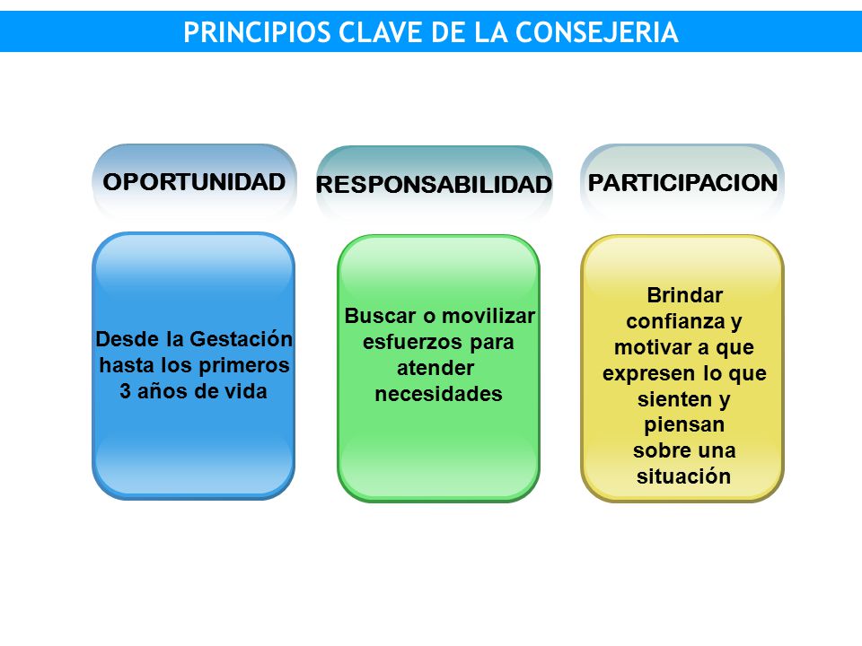 PRINCIPIOS CLAVE DE LA CONSEJERIA CAUSAS DE LA DESNUTRICION INFANTIL