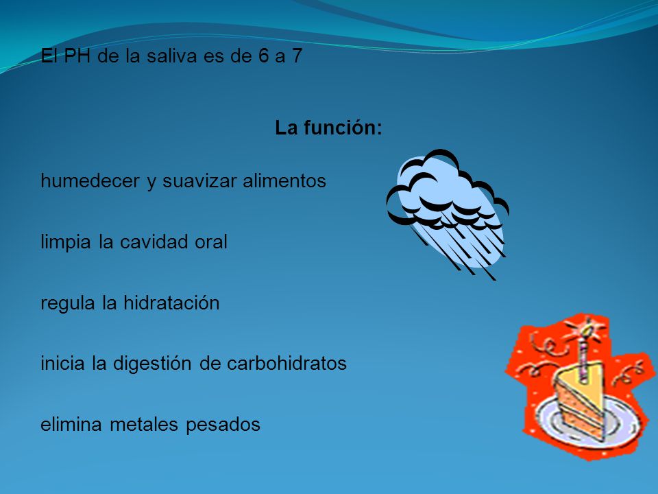 El PH de la saliva es de 6 a 7 La función: humedecer y suavizar alimentos. limpia la cavidad oral.