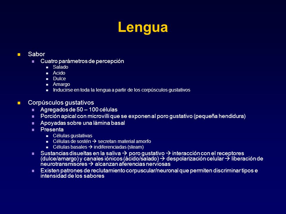Lengua Sabor Corpúsculos gustativos Cuatro parámetros de percepción